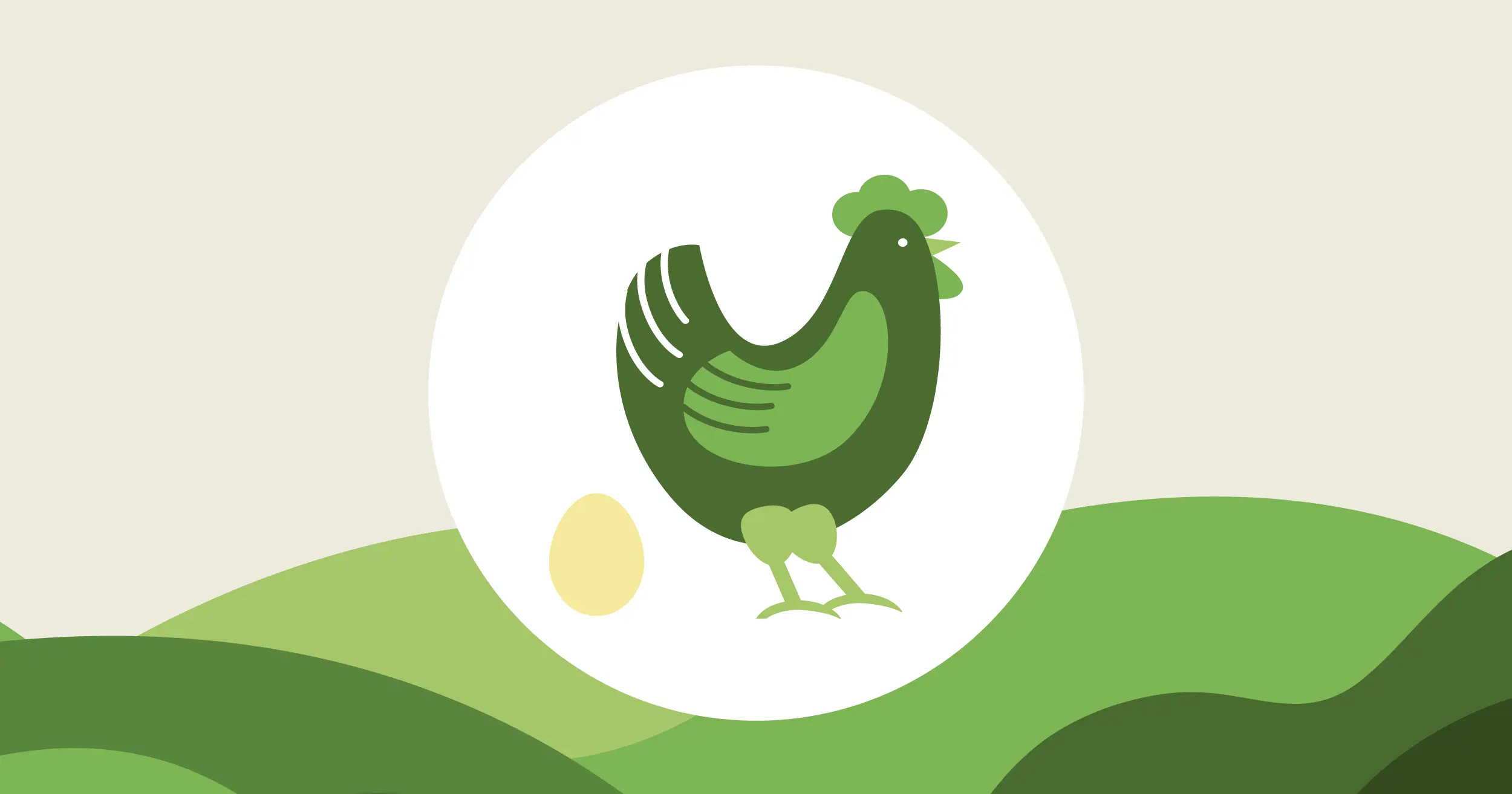 Illustration av en kyckling och ägg