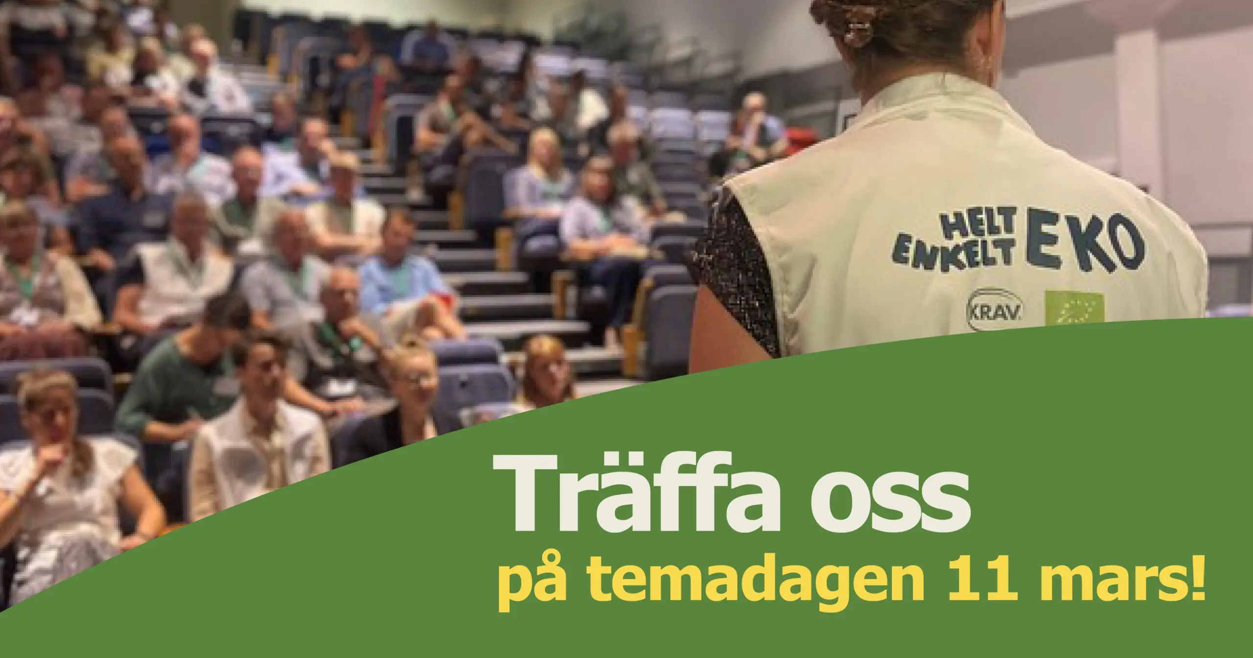 En bild tagen från Ekodagarna där man ser ryggen på en person som blickar ut över publik och åhörare