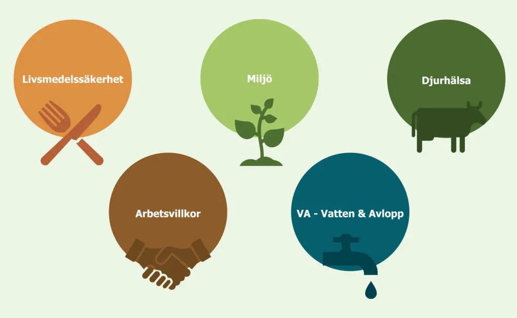 En illustration som visar HS Certifierings kompentensnav