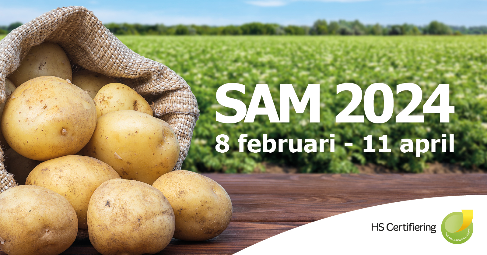 En bild på potatis som ligger på ett bord vid ett fält. I bilden står det vilken period SAM pågår